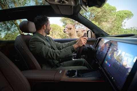 33_smart_hashtag5_Premium_With-Cast_Static_Chewy_sRGB