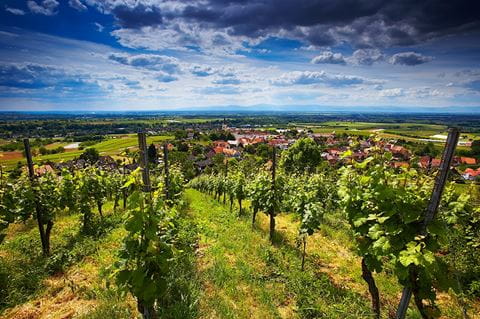 4 landschaftballrechtendottingen