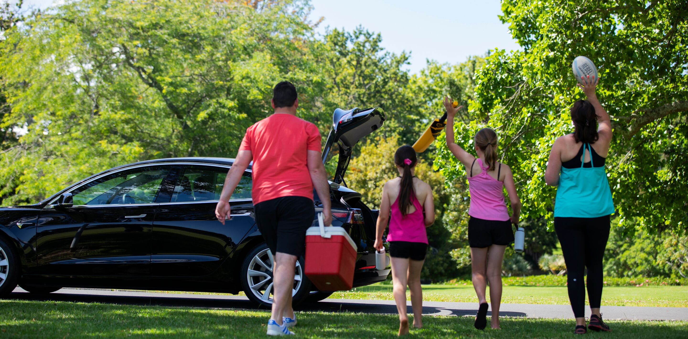 Website header large-NZ_20_226