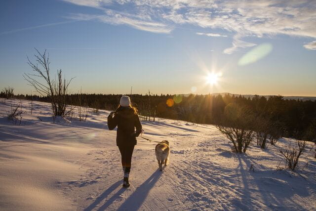 Small-GettyImages-642873180