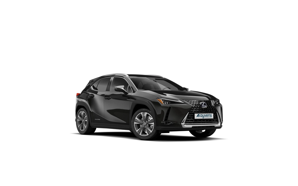 Lexus UX300e_sidefront_small
