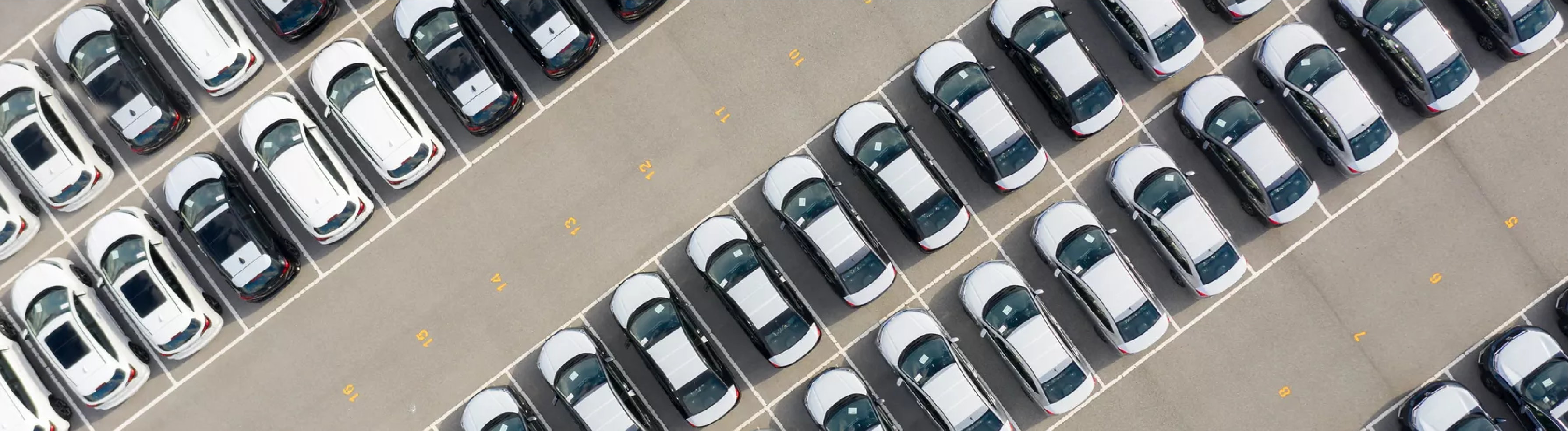 terceirizacao vs frota propria