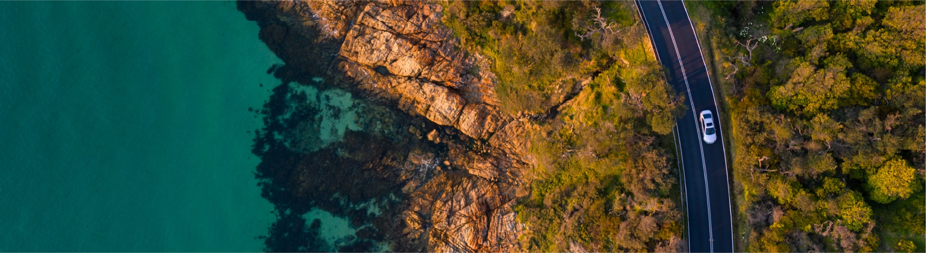 terceirize conosco banner2x