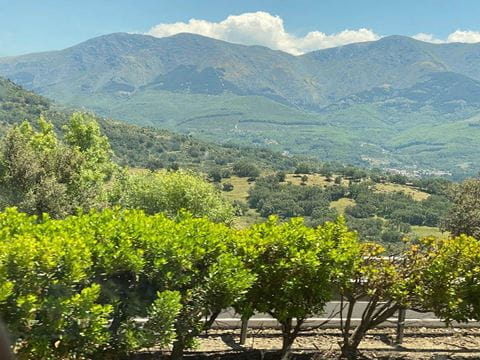 Trees and mountains