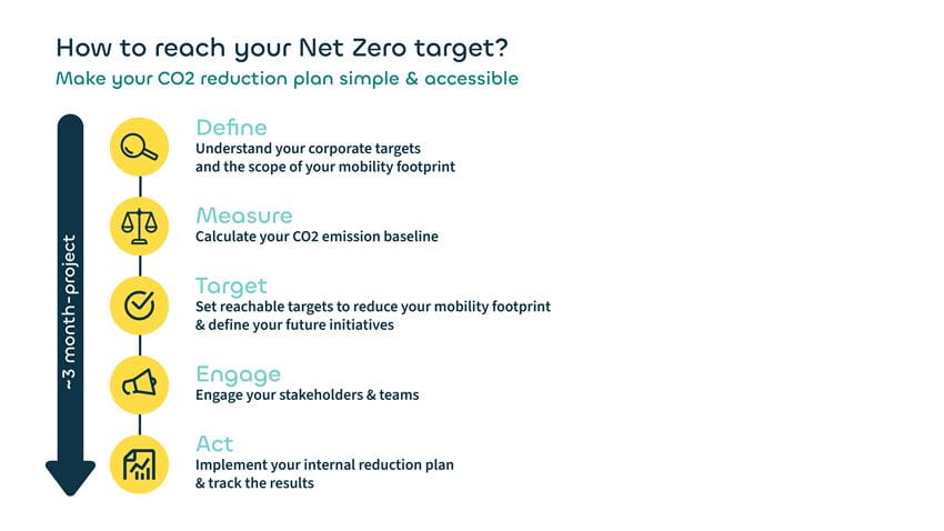 Net zero program v2