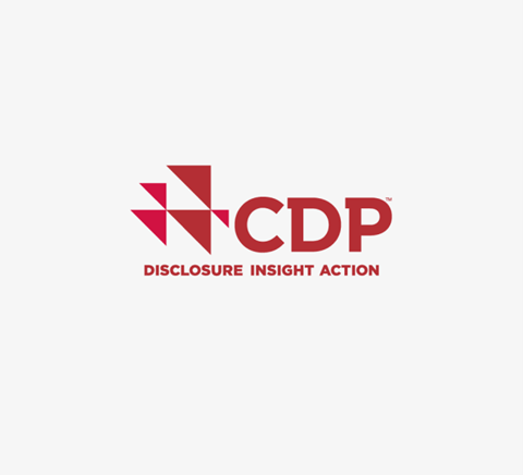 CDP