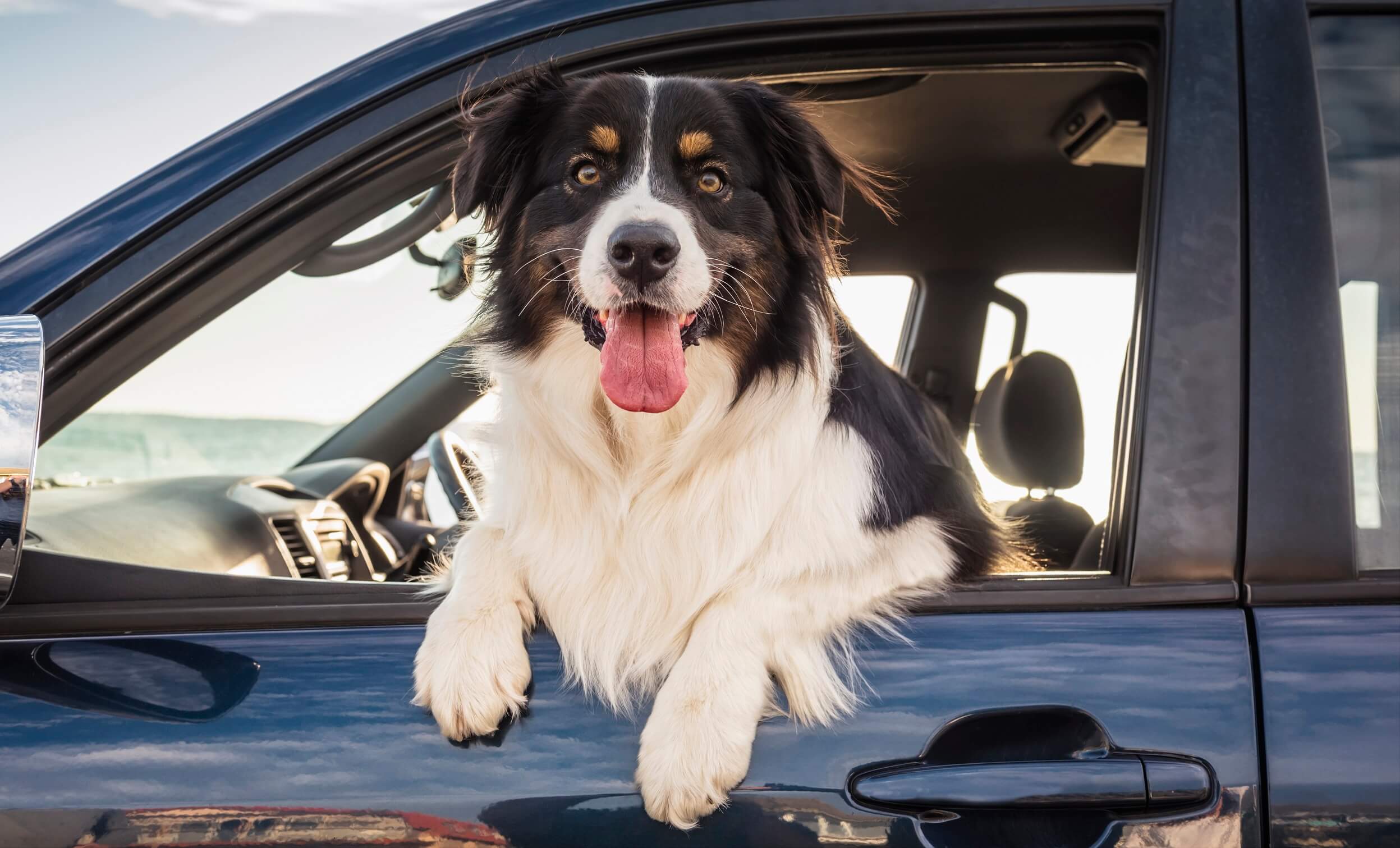 Header_autoaufbereitung