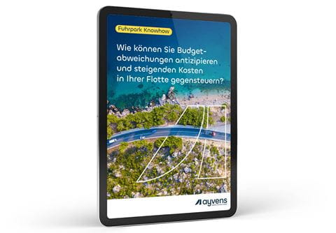 Ayvens_Hero_30_Uebersicht zur Budgetplanung und -kontrolle