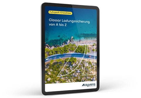 Ayvens_Hero_33_Glossar Ladungssicherung von A bis Z