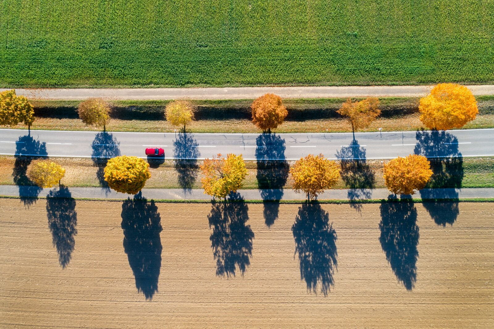 Large-GettyImages-1060154392