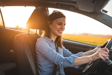 Large-hitting_the_road_high