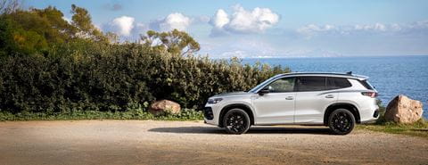 Tayron-phev-1