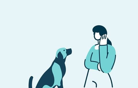 Como_Viajar_Mascotas