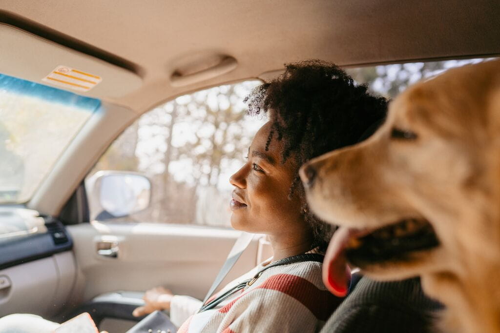 Viajar_forma_segura_mascotas