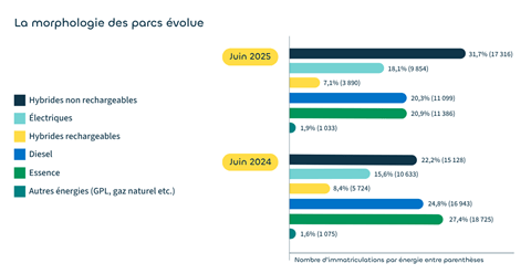 juin-2025-morphologie-parcs