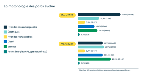 La morphologie des parcs volue - Mars 2025