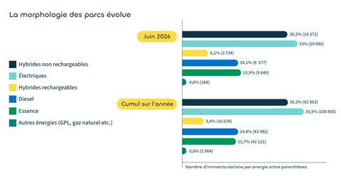 La morphologie des parcs automobile évolue en juin 2026