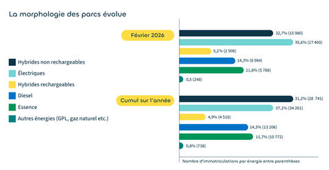 la morphologie des_parcs_evolue_ fevrier_2026