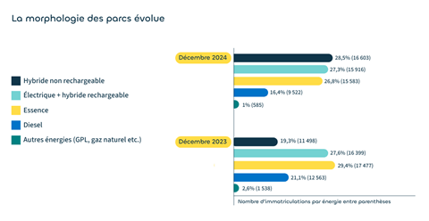 La morphologie des parcs volue - Dcembre 2024