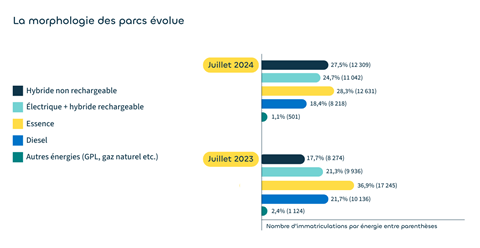 La morphologie des parcs volue - Juillet 2024
