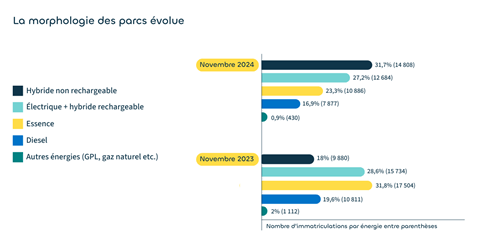 La morphologie des parcs volue  novembre2024