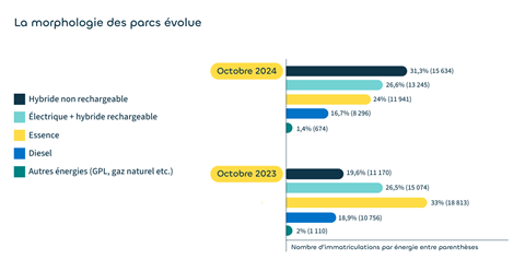 La morphologie des parcs volue - Octobre 2024