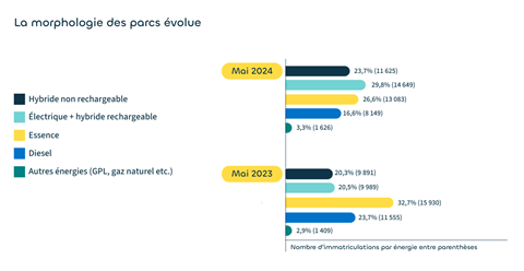 mai2024-morphologie-parcs