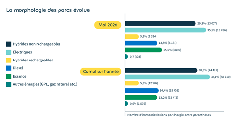 La morphologie des parcs volue - Mai 2026