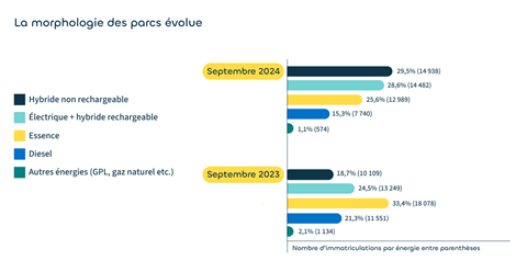 La morphologie des parcs volue - Septembre 2024