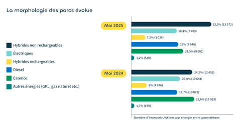 La morphologie des parcs volue - Mai 2025