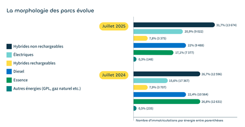 La morphologie des parcs volue - Juillet 2025