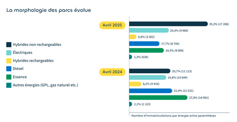 La morphologie des parcs volue - Avril 2025