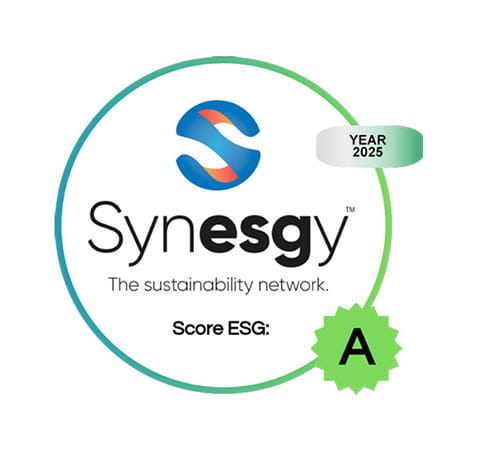Synesgy