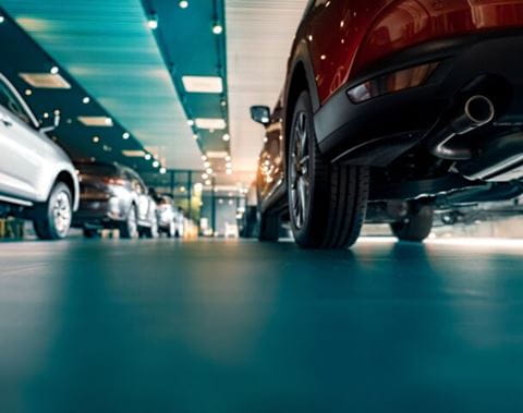 Small-ayv_carm_Gettyimages-1373210791