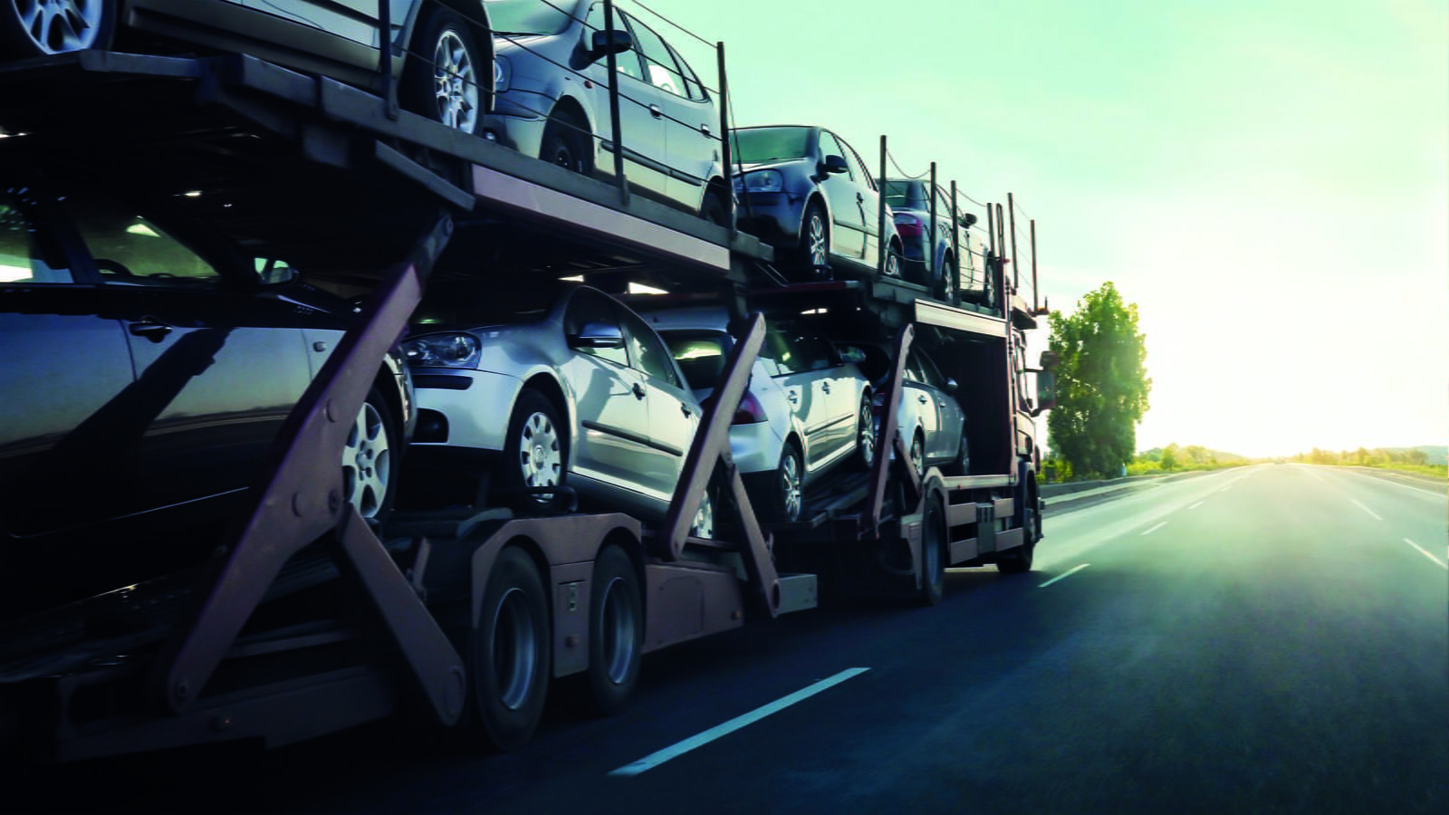 Large-ayv_carm_GettyImages_1440980738 (1)