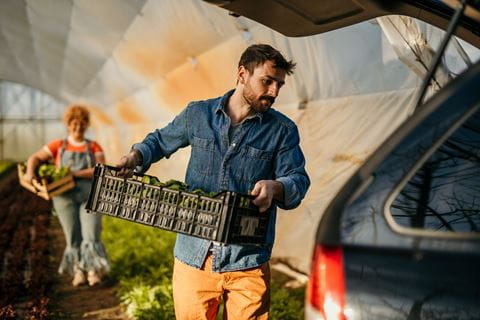 Sustainable farming in India