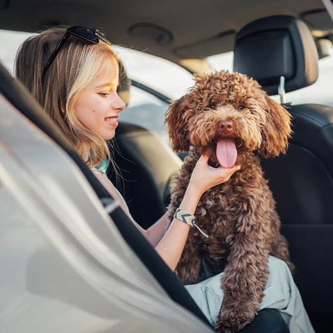 noleggio-auto-usate-vs-noleggio-auto-nuove_ImageInterna