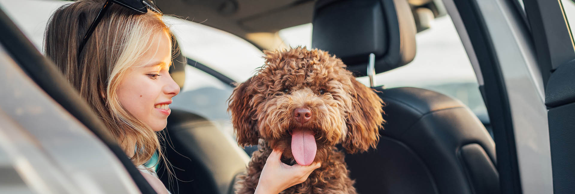 noleggio-auto-usate-vs-noleggio-auto-nuove_Tumbnail