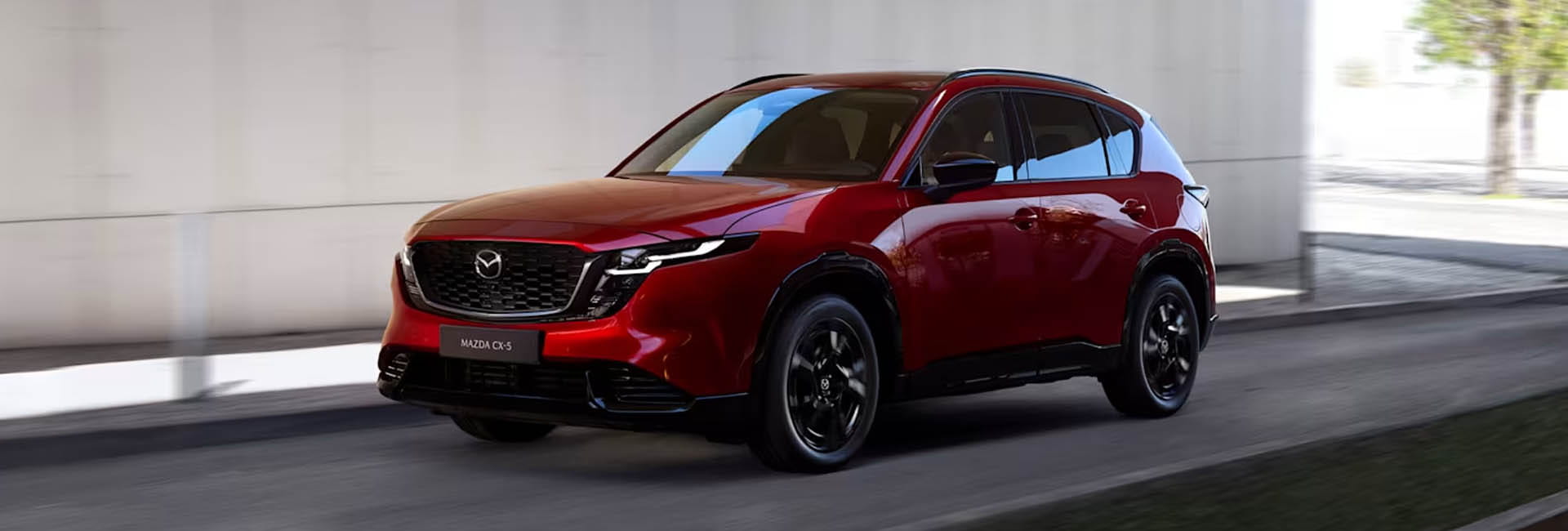 auto-giapponesi_Tumbnail