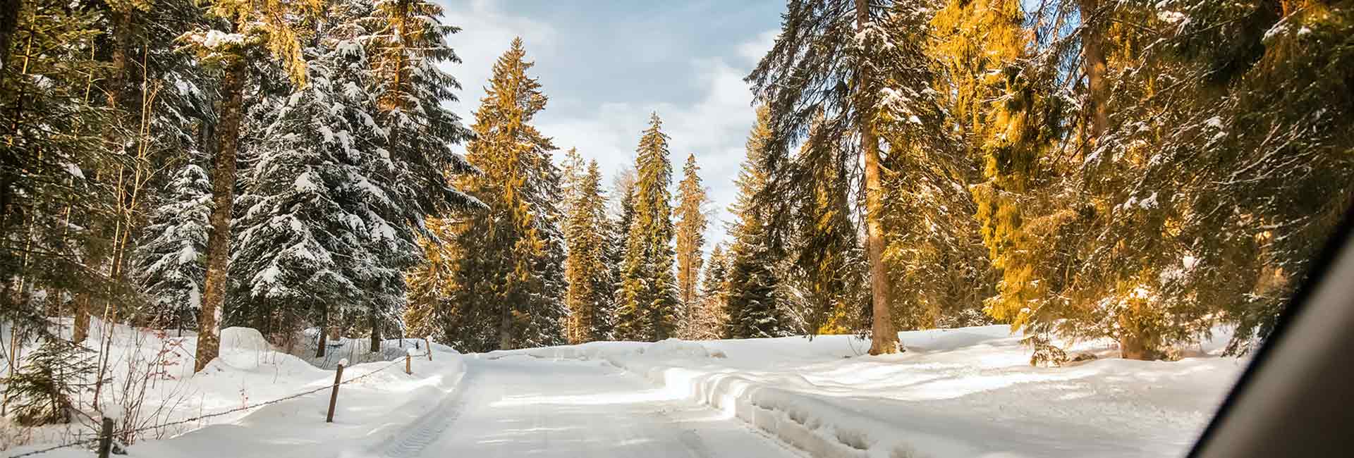 Ayvens_Blog_1920x650_Tumbnail_