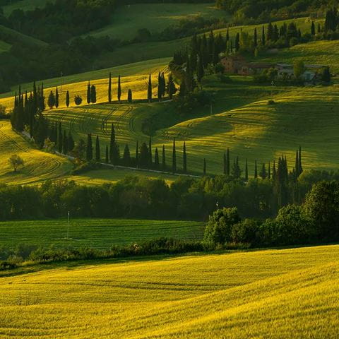 Tour-in-Italia-in-auto_toscana