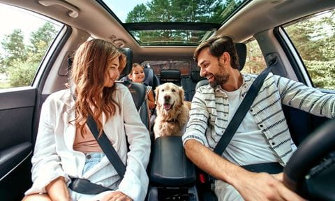 famille ceinture et chien