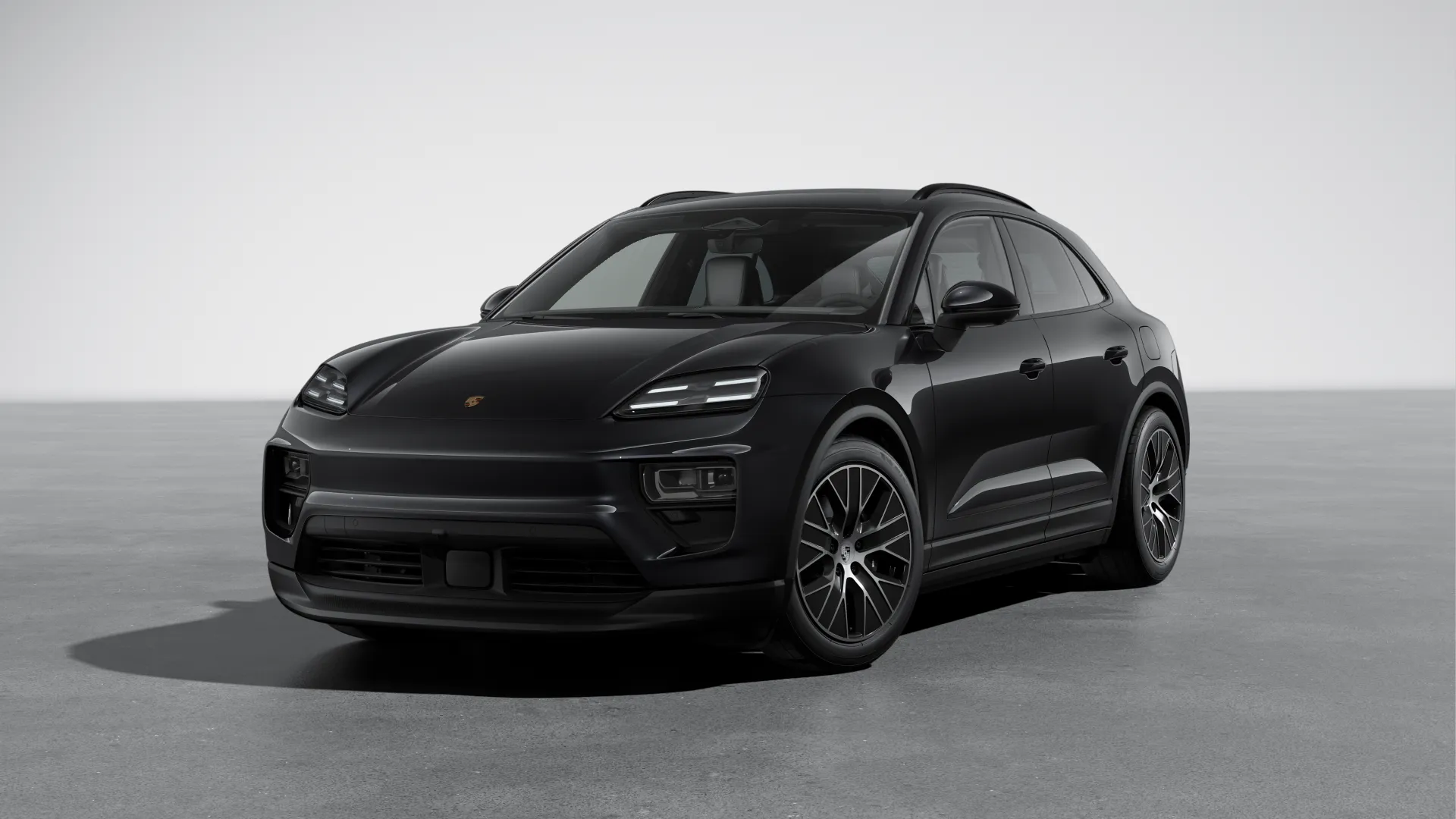 L02473_macan