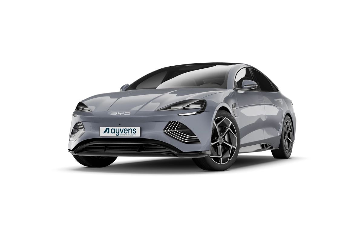 Byd Seal Ayvens - Grey