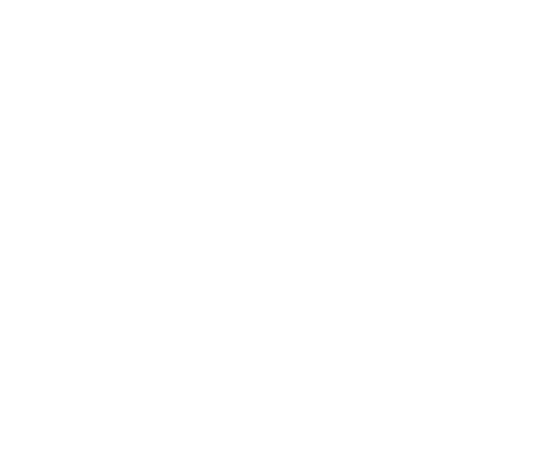 Ayv_icon_Video_White