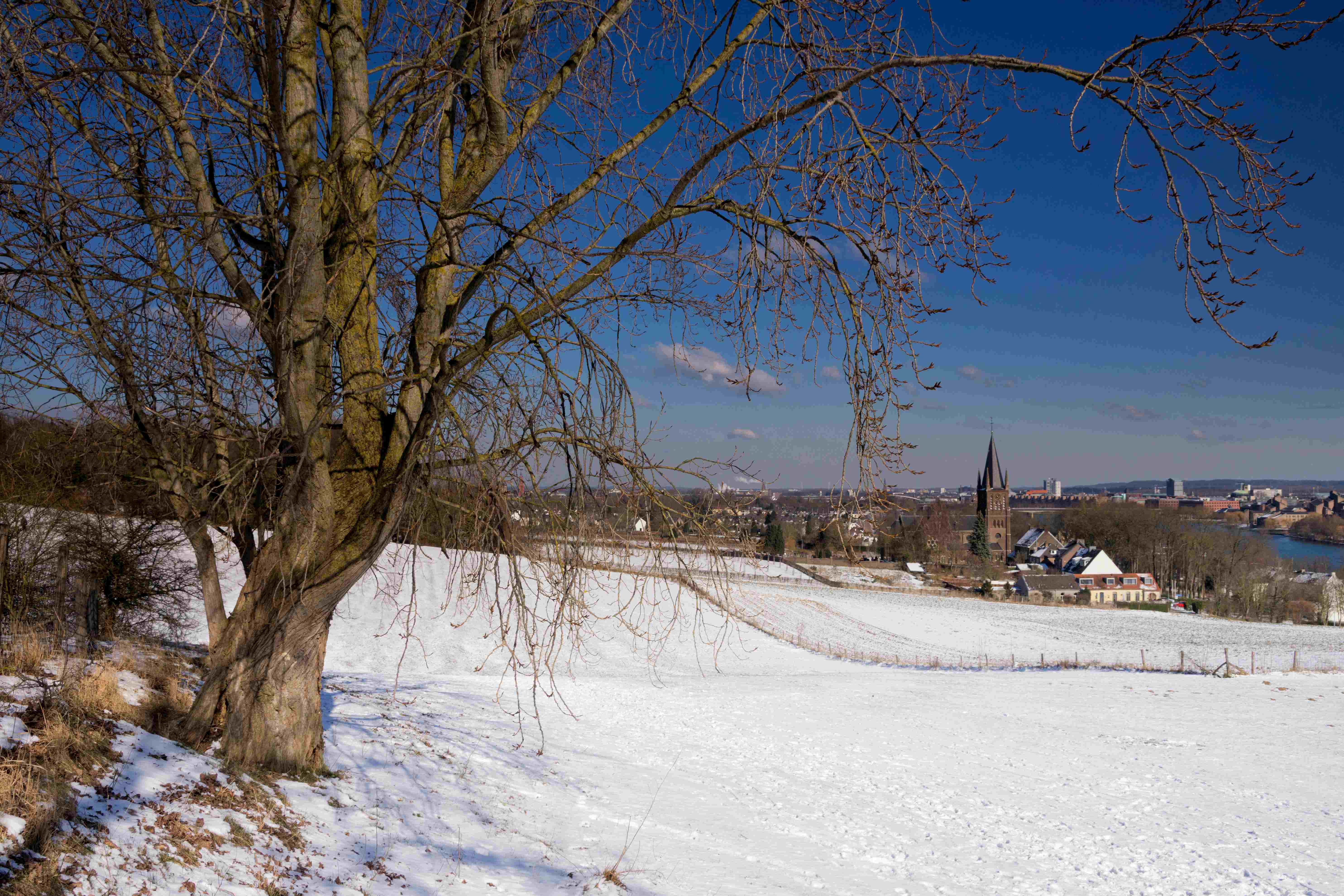 shutterstock_1042285393