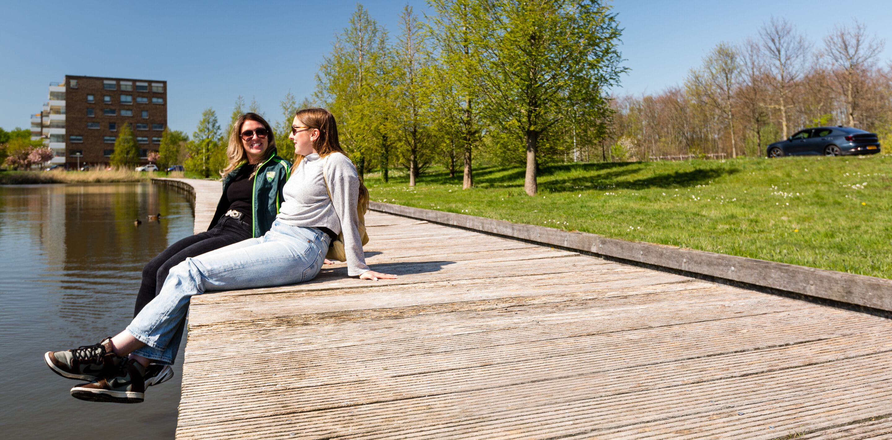 Website header large-NL_22_61 (1)