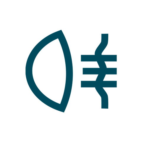 lpnl-icon-car-mistlicht_achter