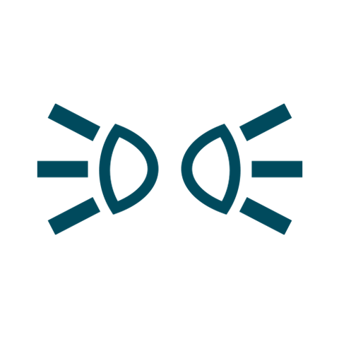 lpnl-icon-car-stadslicht