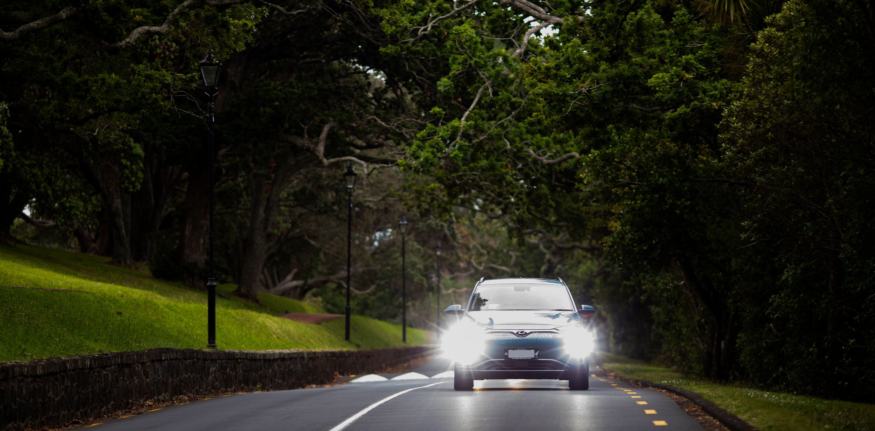 Website header large-NZ_20_50